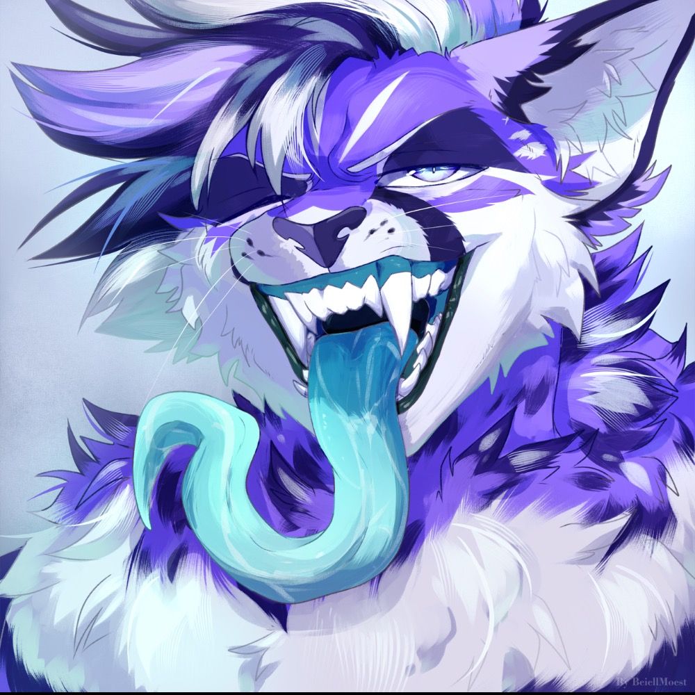 O n y x~💜