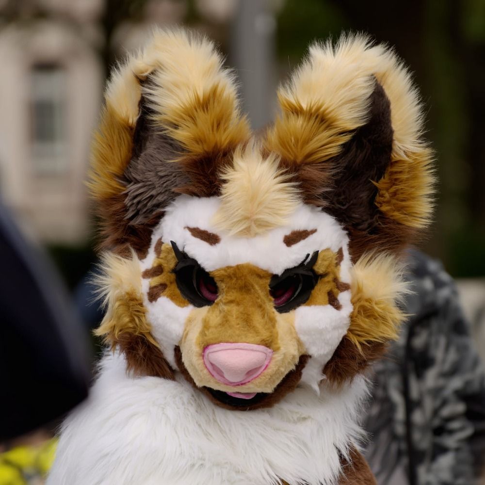Cookie 🔜 Renamon suit