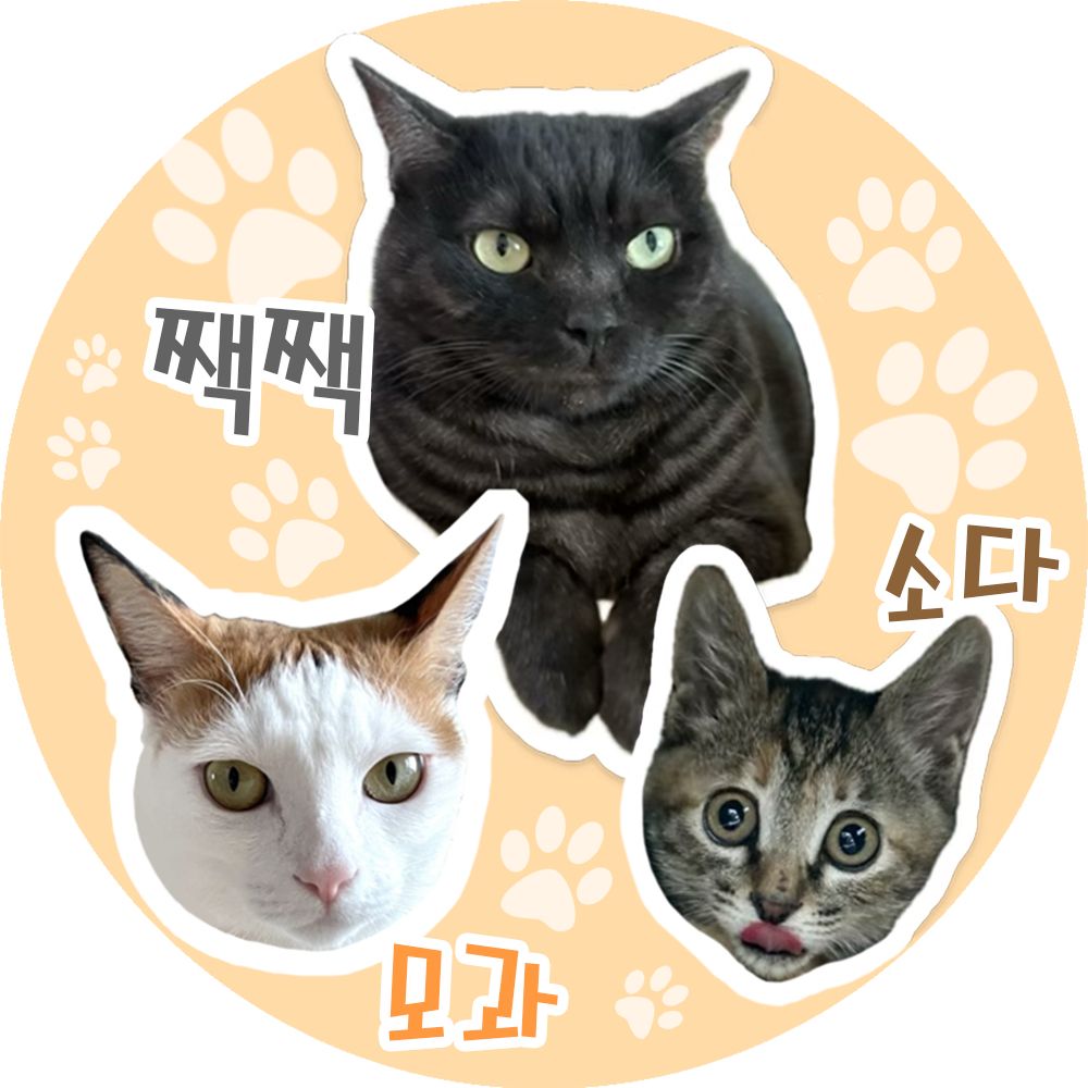 🐾짹짹🖤모과🧡소다🤎