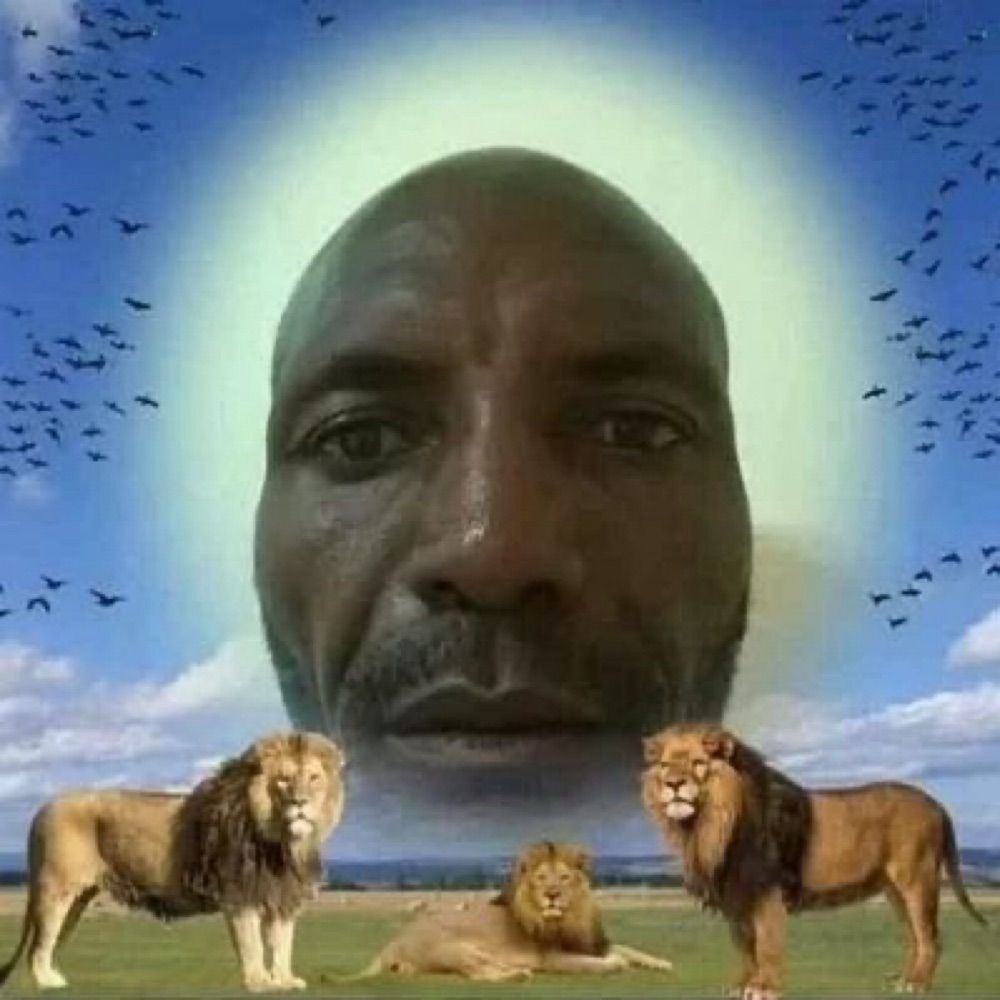 memesdolixo