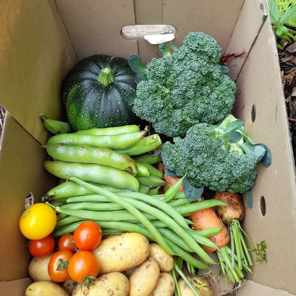 The Heugh Community Garden