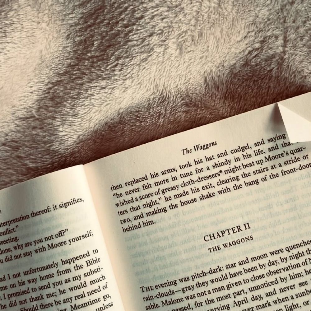 Maisie 🫶🏻📖 she/they | The Autumnal Bookshelf