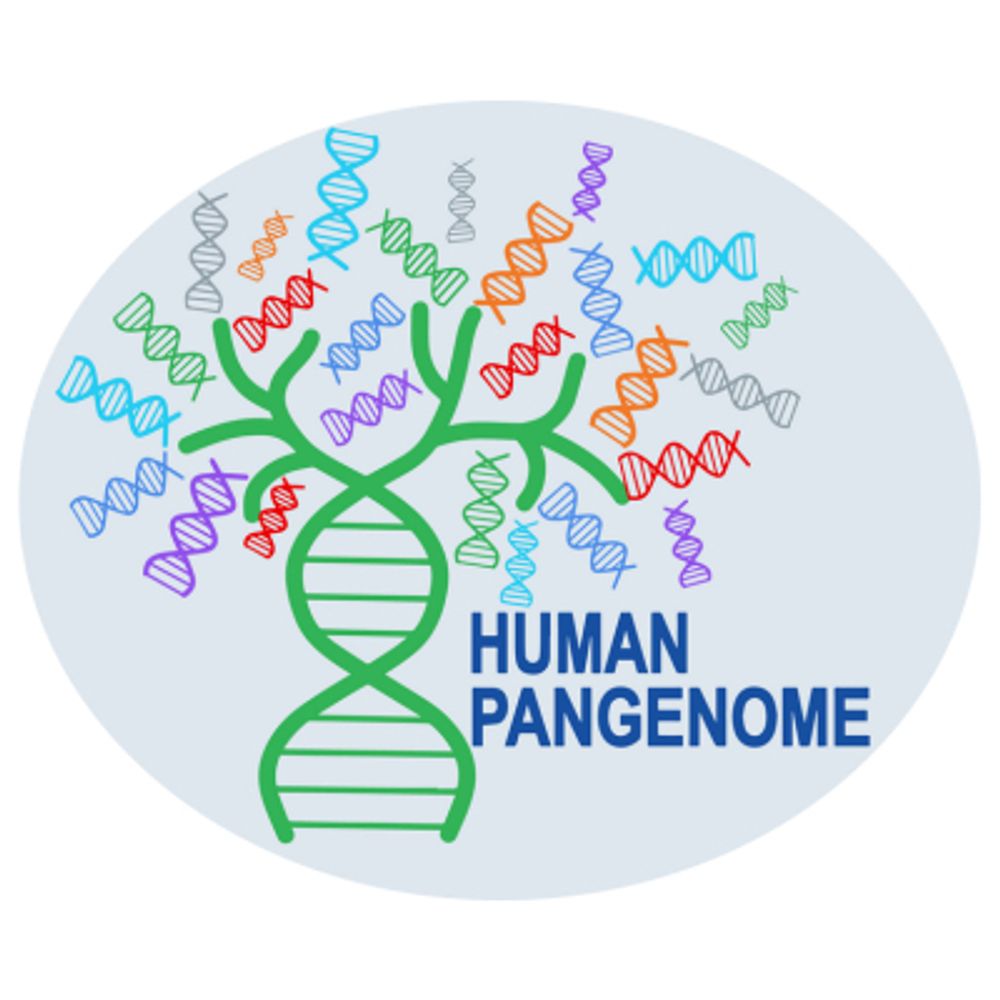 Human Pangenome Reference Consortium