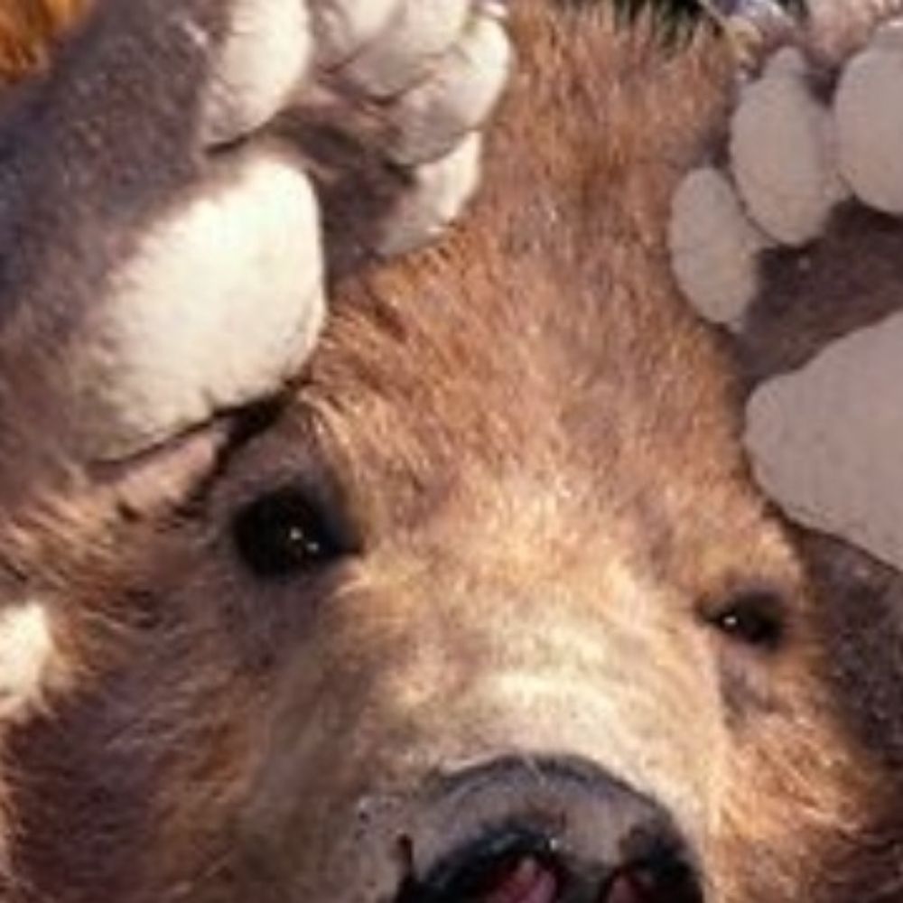 Bearwrecker_FF