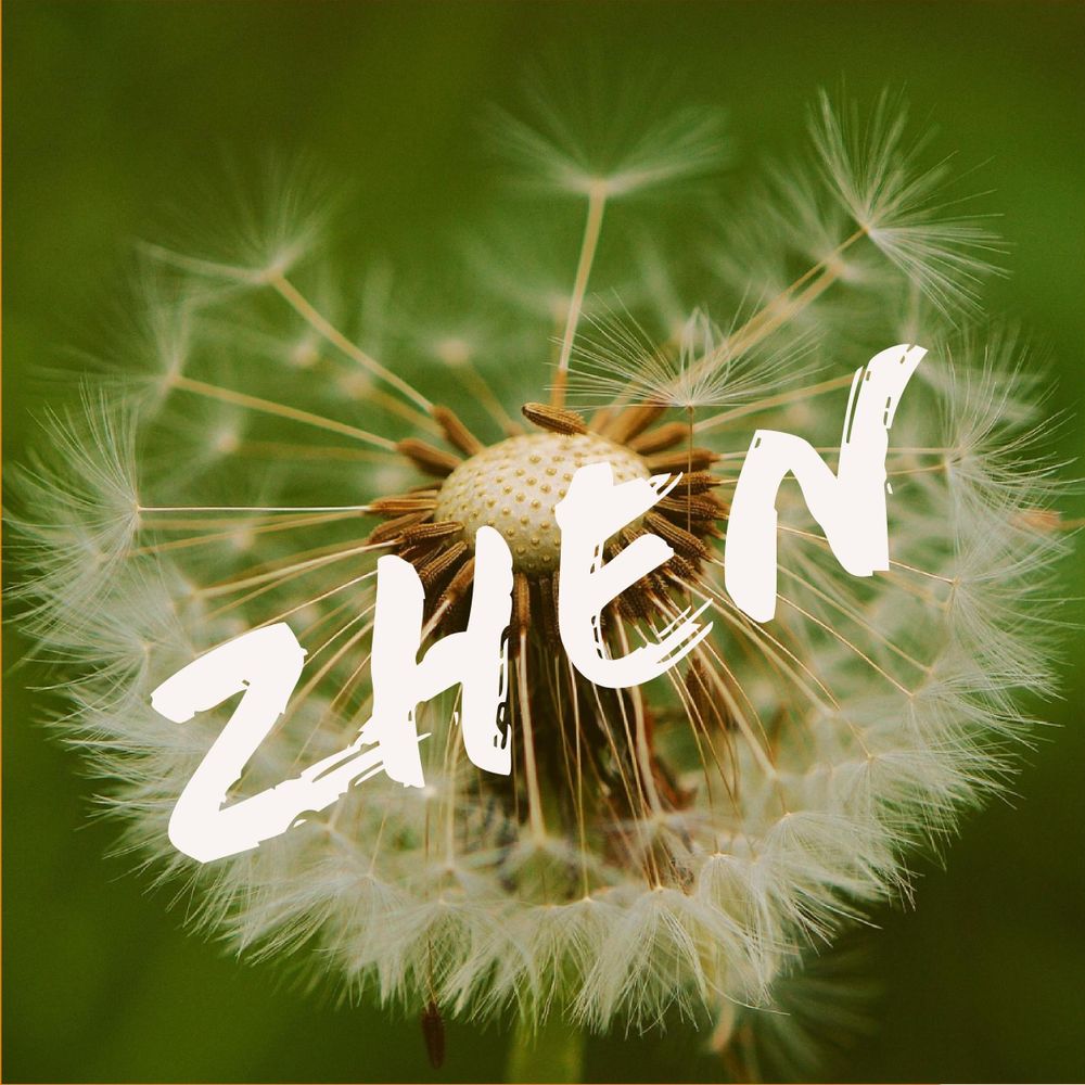 Zhen Lin, PhD RN