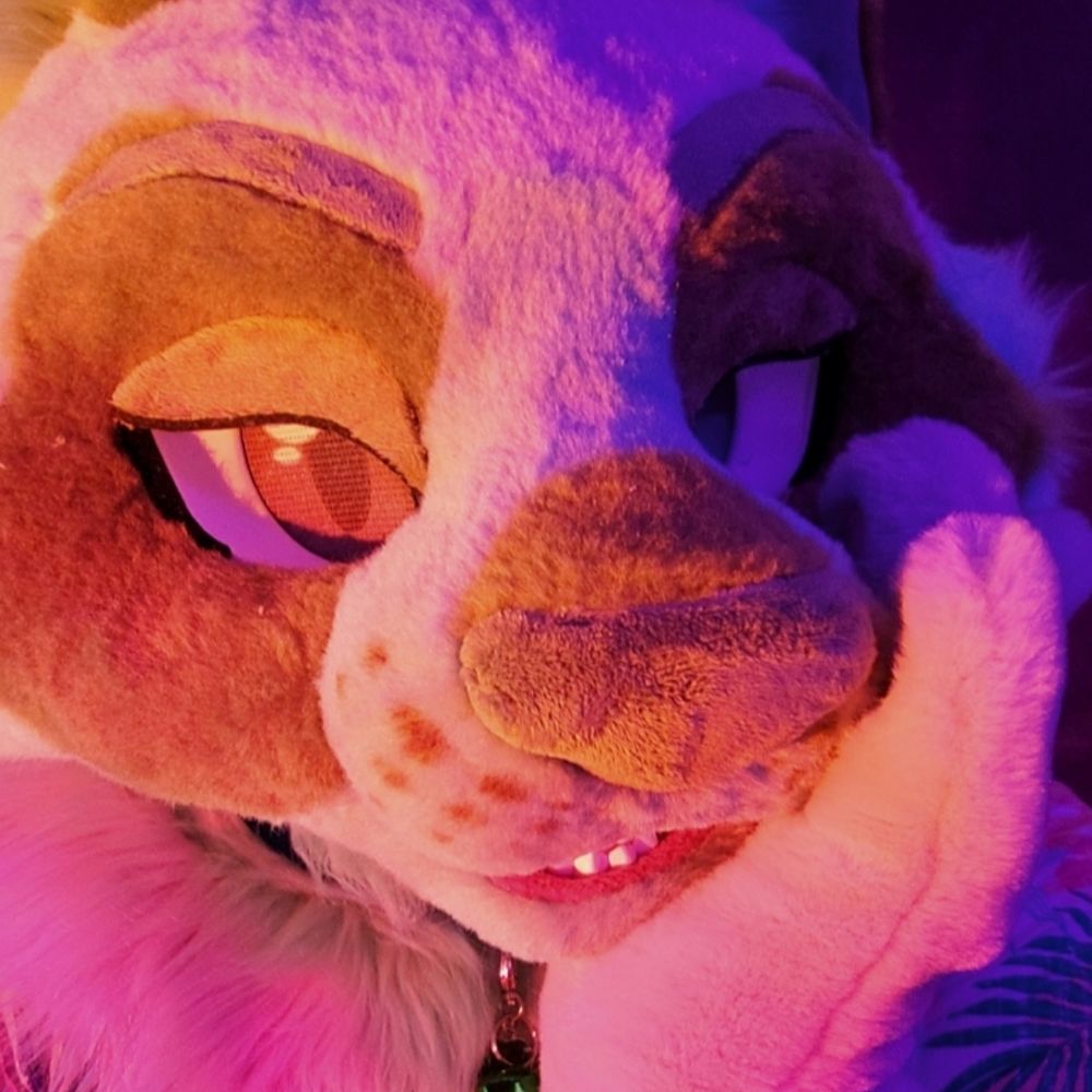 Junipurr~ 💦