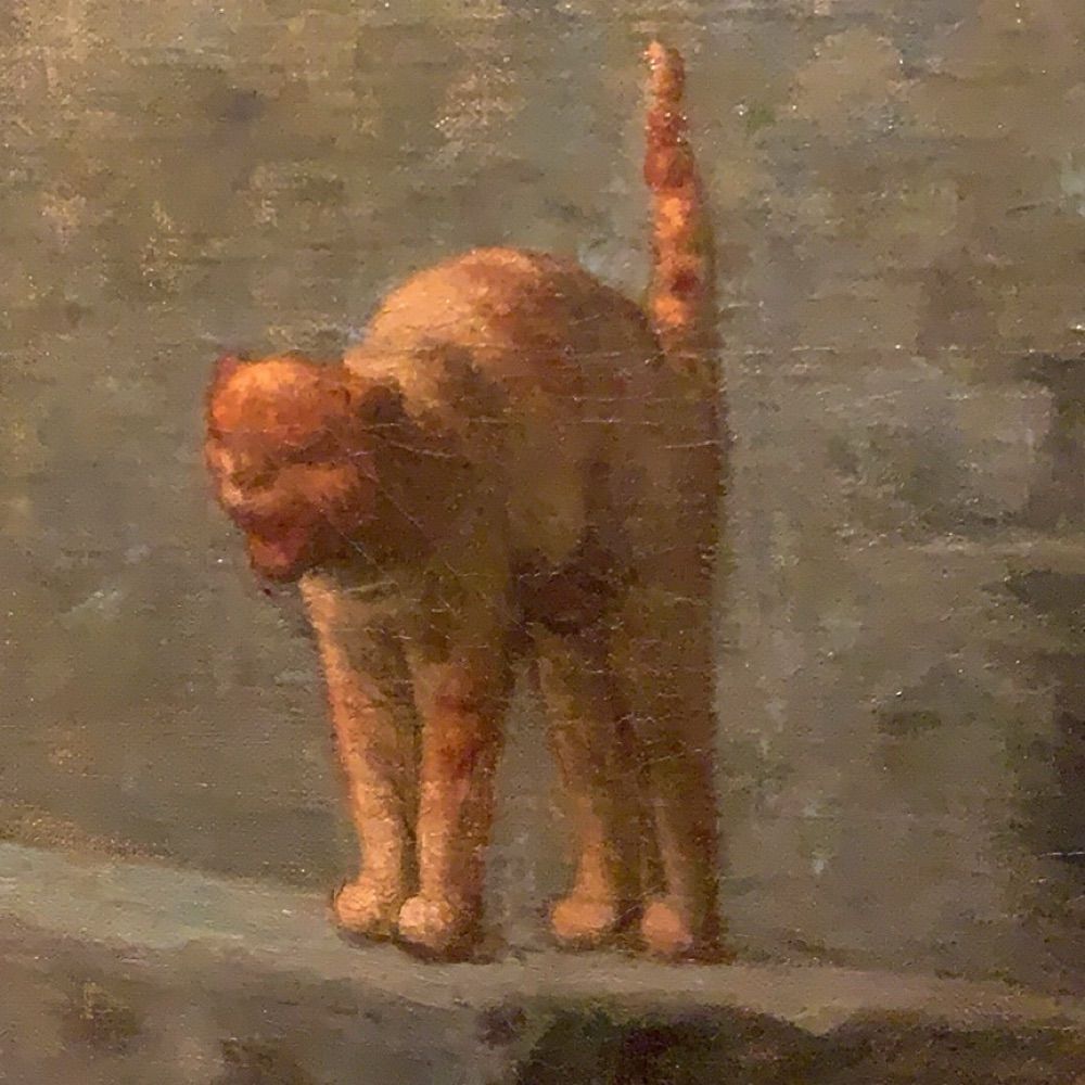 leojiaz