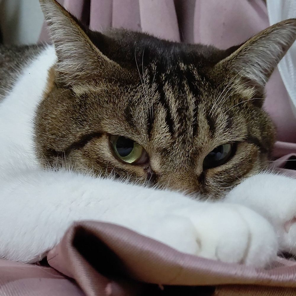 上田