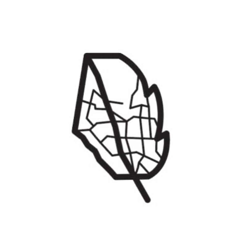 Project Alberta