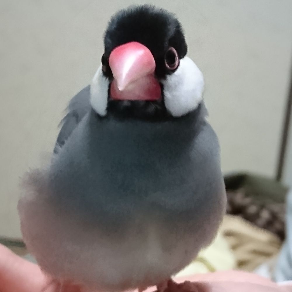 じんさんです。
