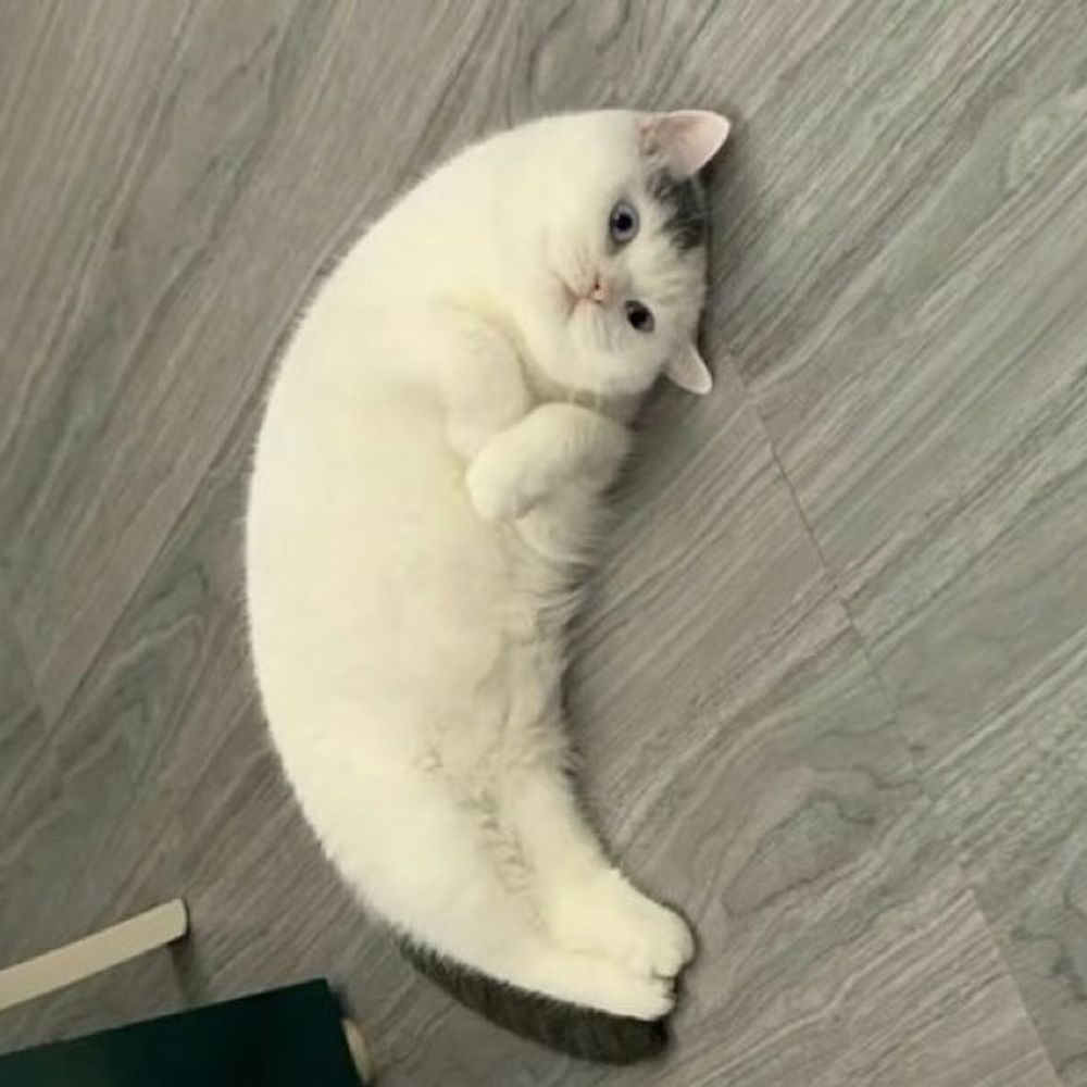 Ni