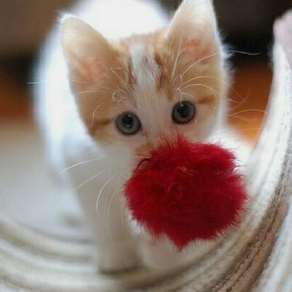 🌈💞💕