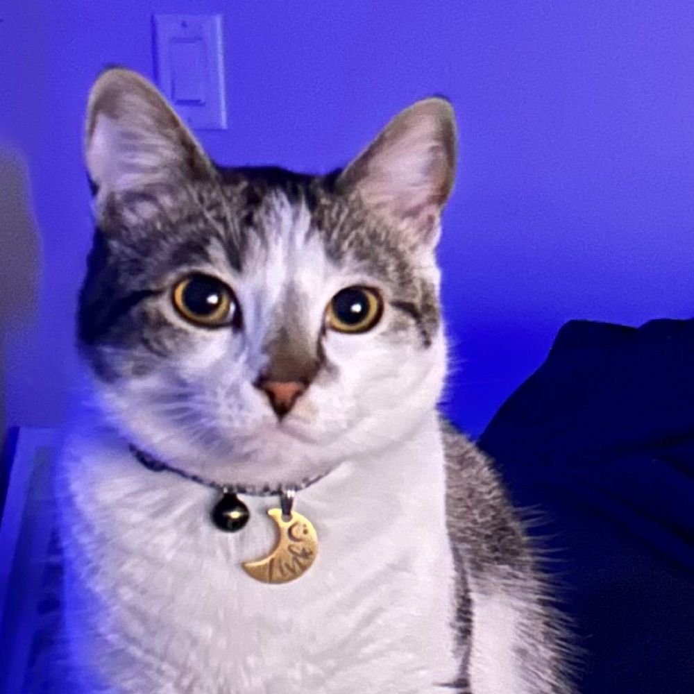 Kate