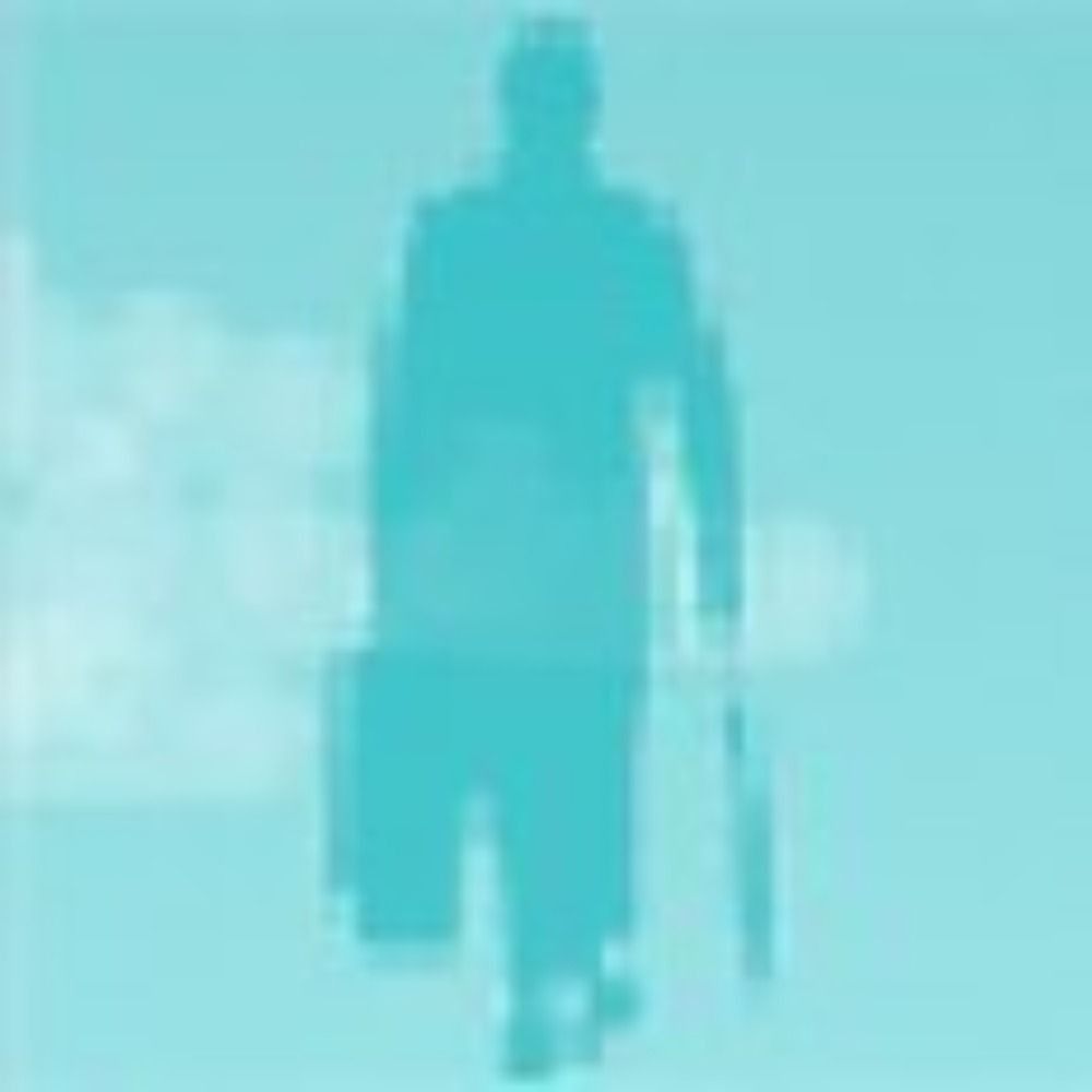 本文と関係ない鴨ゝ