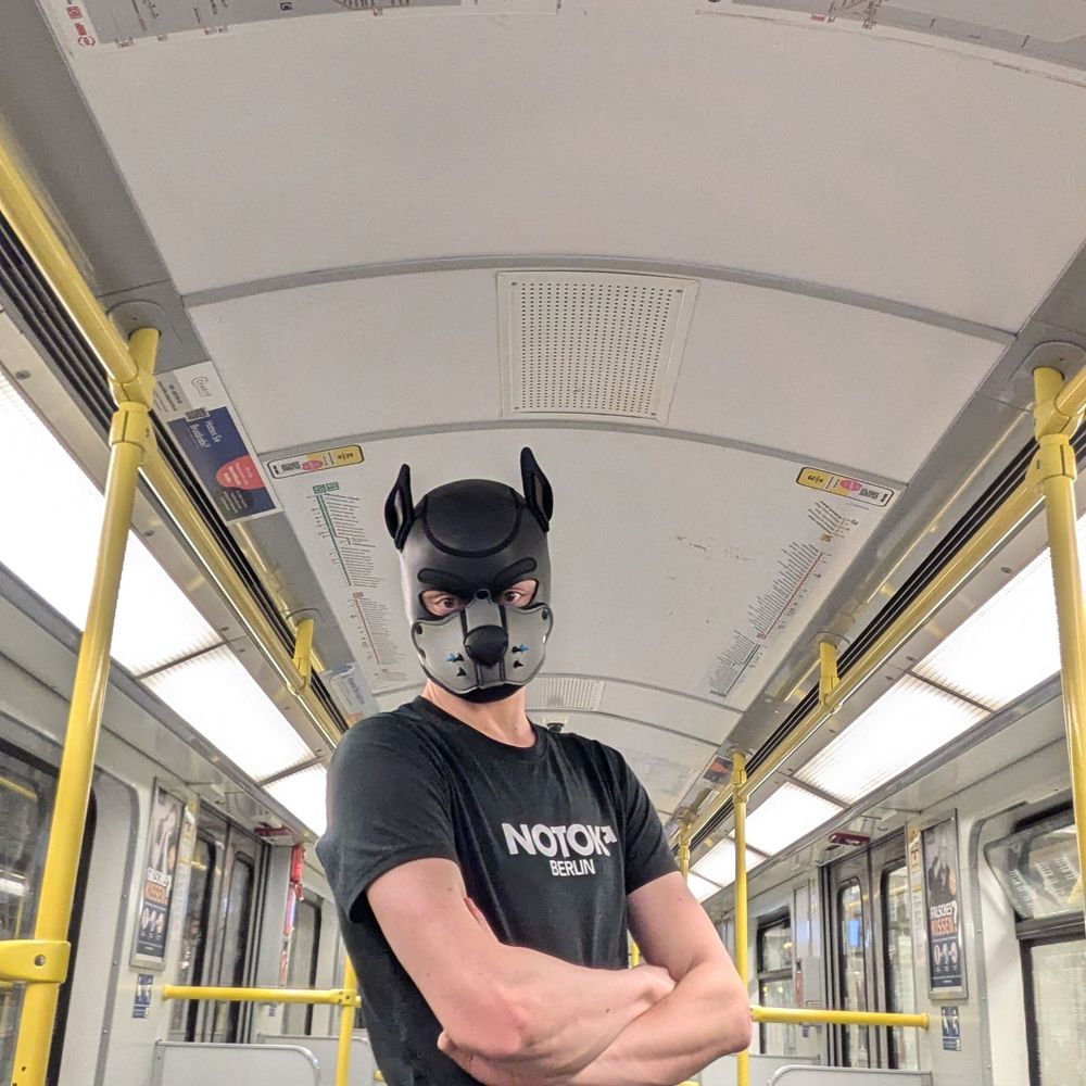 Notok (any/dog)