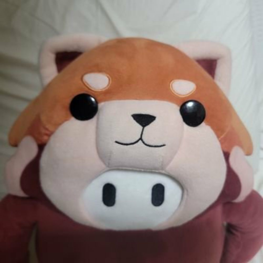 a red panda on the blue sky