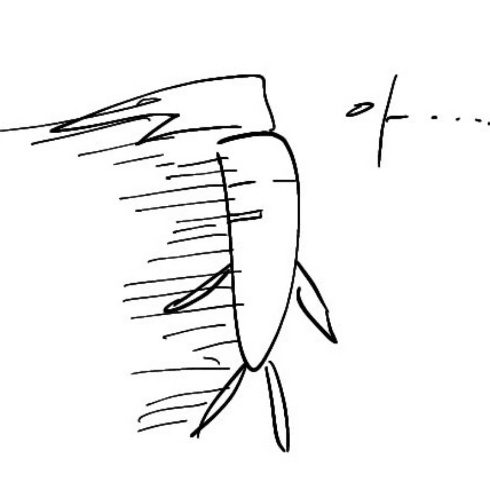 야채