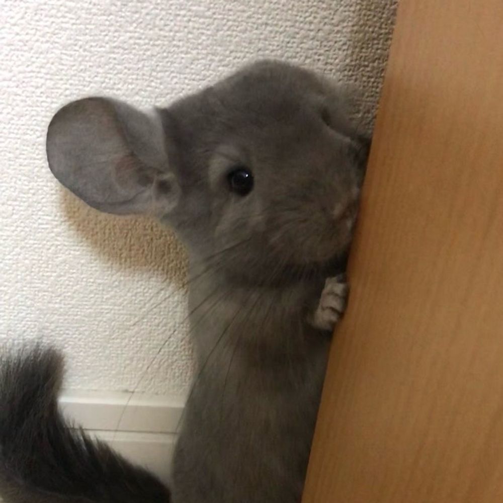 メマル