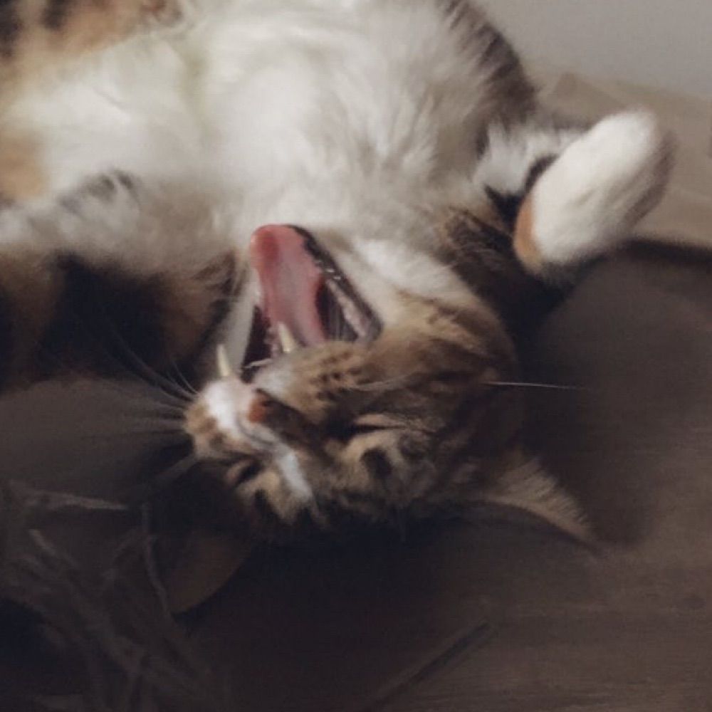 ma
