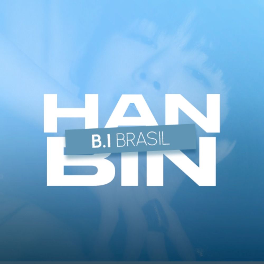 B.I Brasil