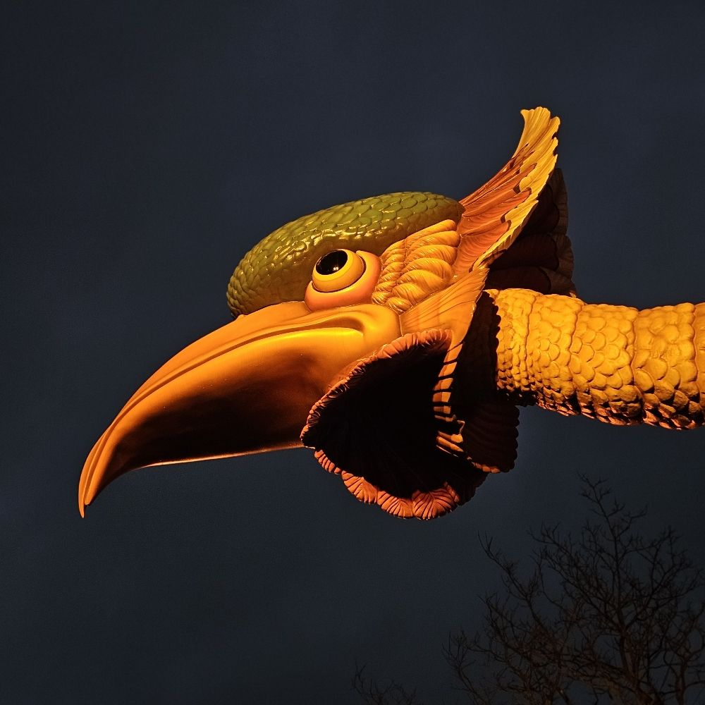 vogeltje rok