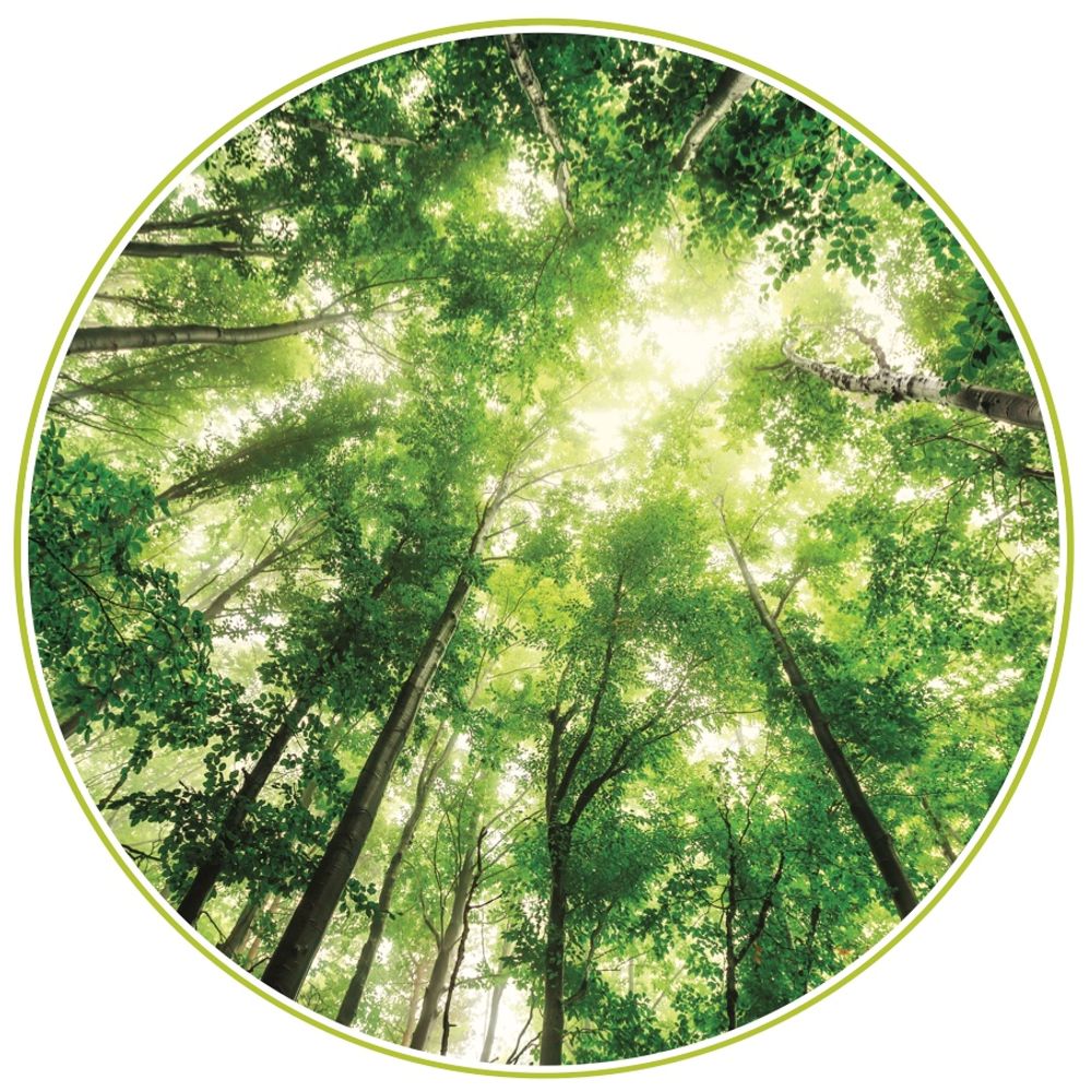 Environmental Education Research