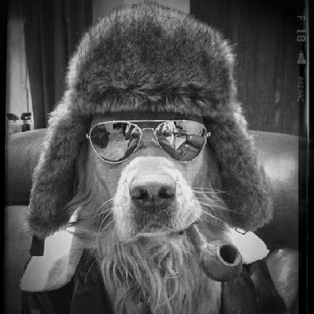 SkinDog