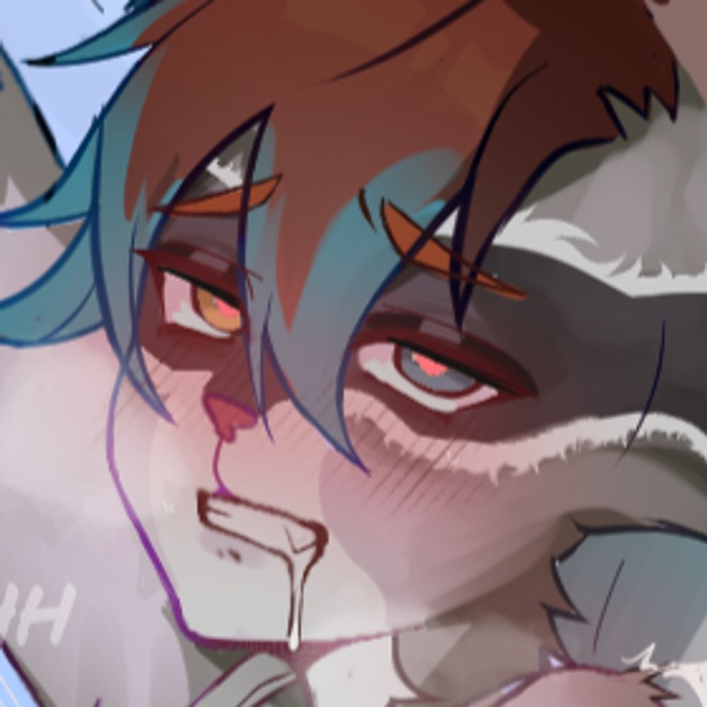 🔞 DUM RACC 🦝