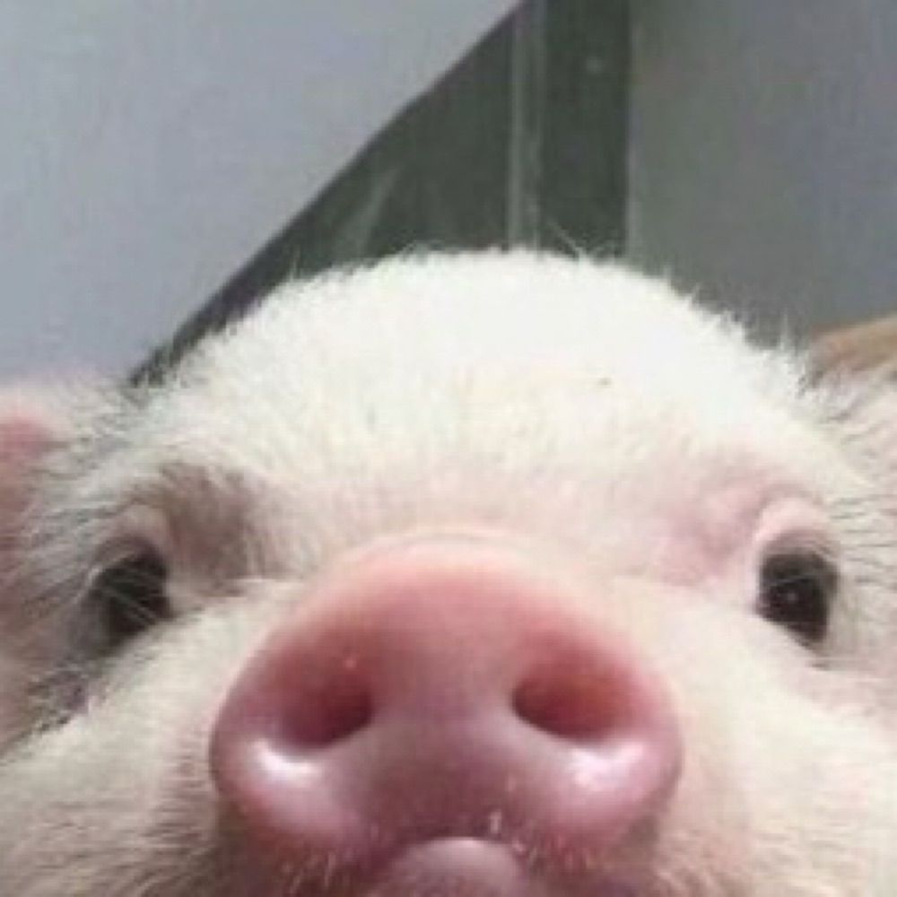 먹구름