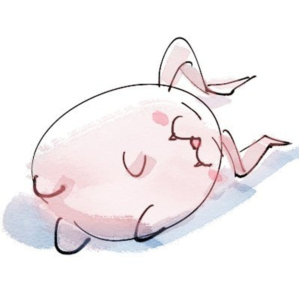 느누