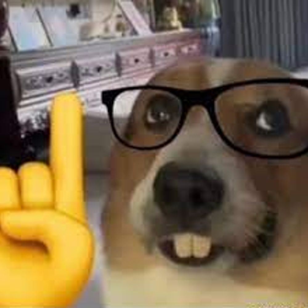 Camarada Markin