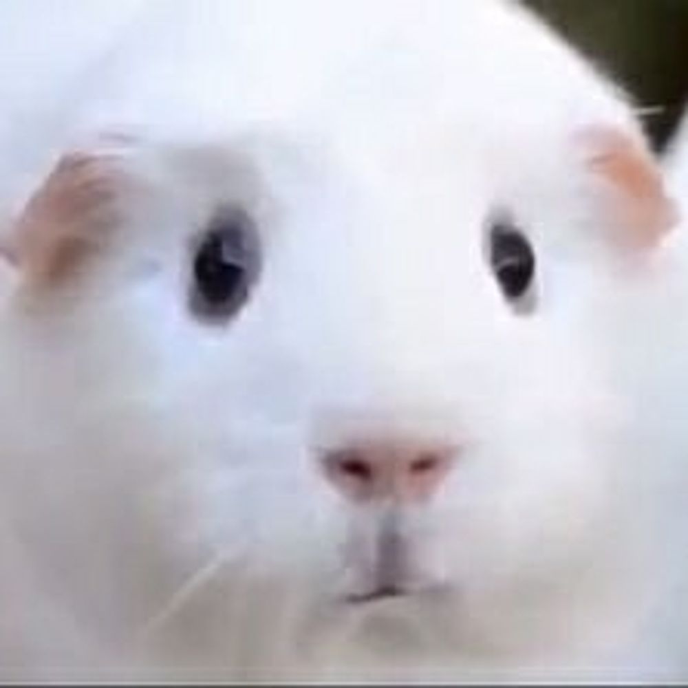 mkomko（xA助）