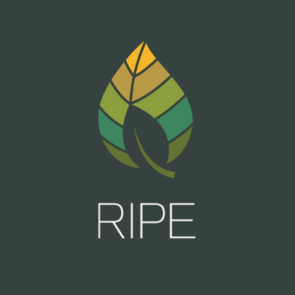 Profile picture ripeproject.bsky.social