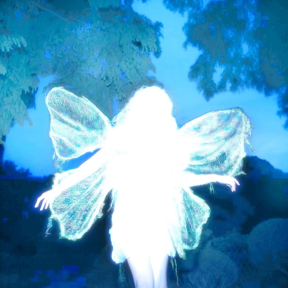 ❄️*｡⋆