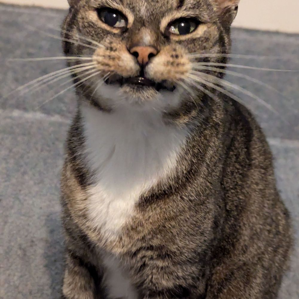 Grumpy