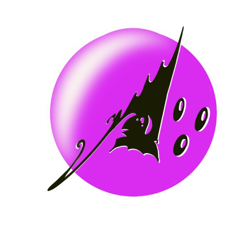 ThinkTimm