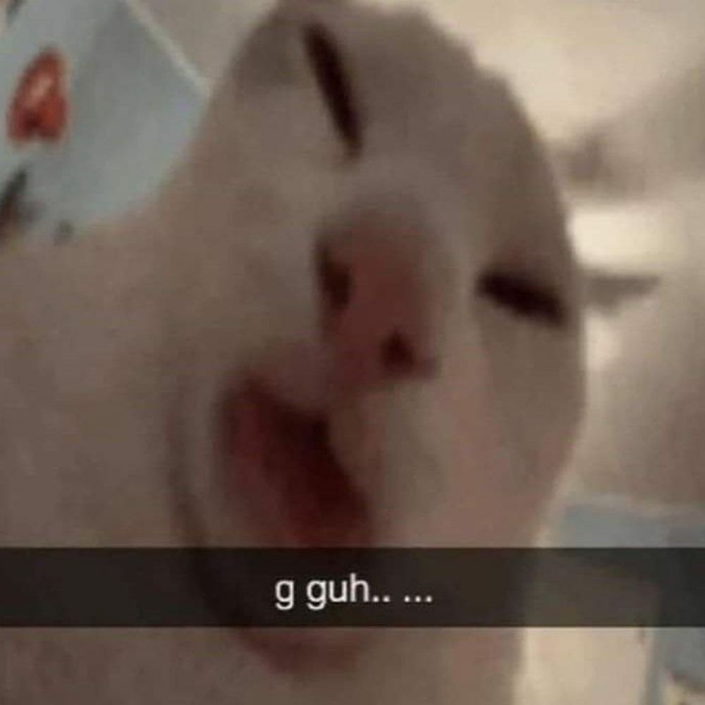 Тотош
