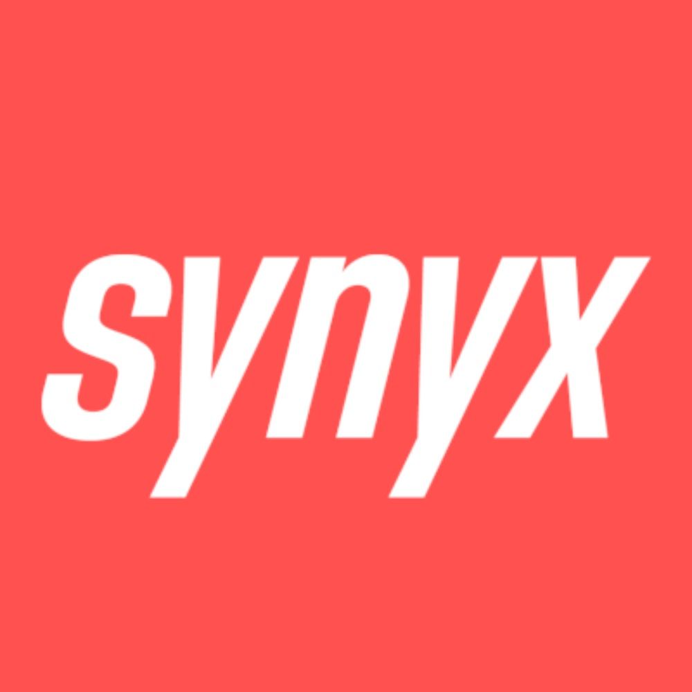 synyx GmbH & Co. KG