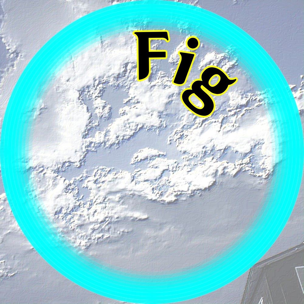 Fig