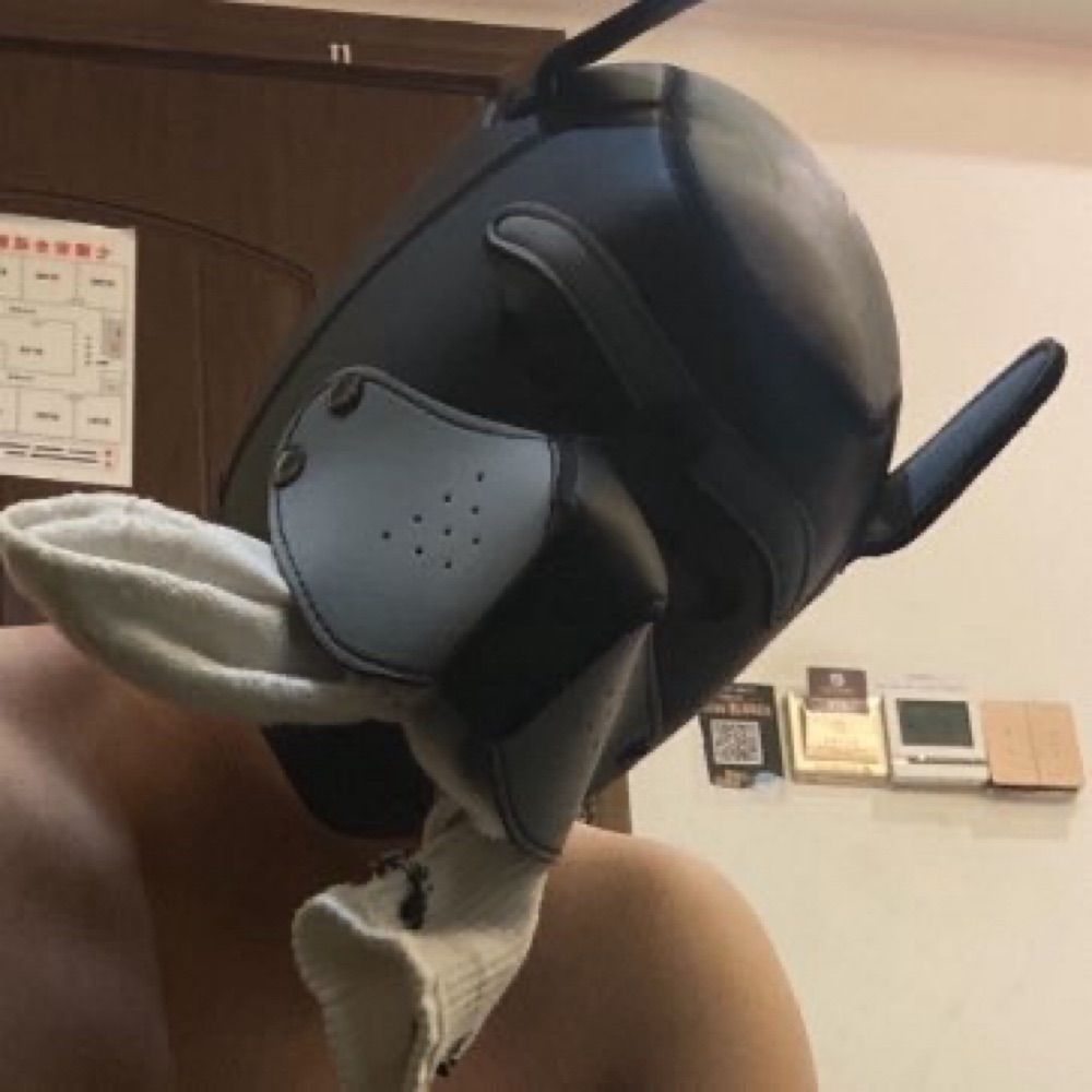 十二