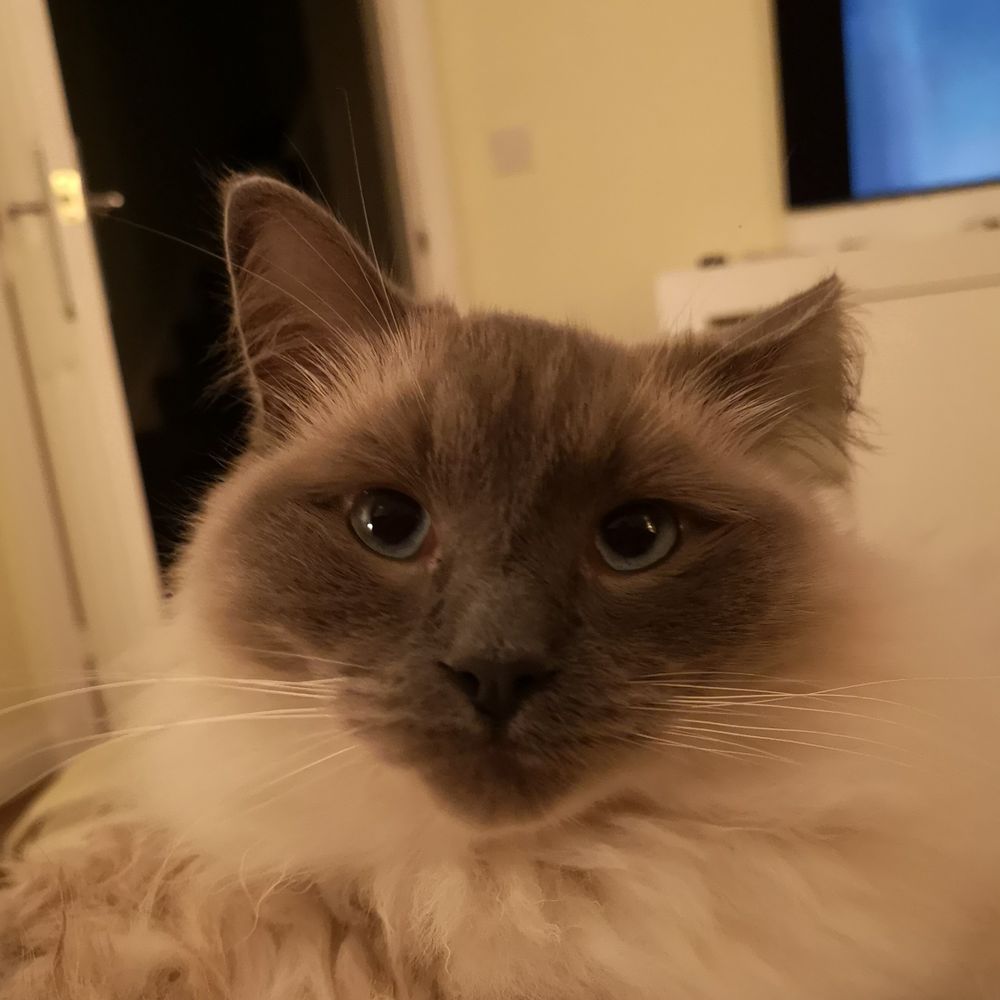 Nick 