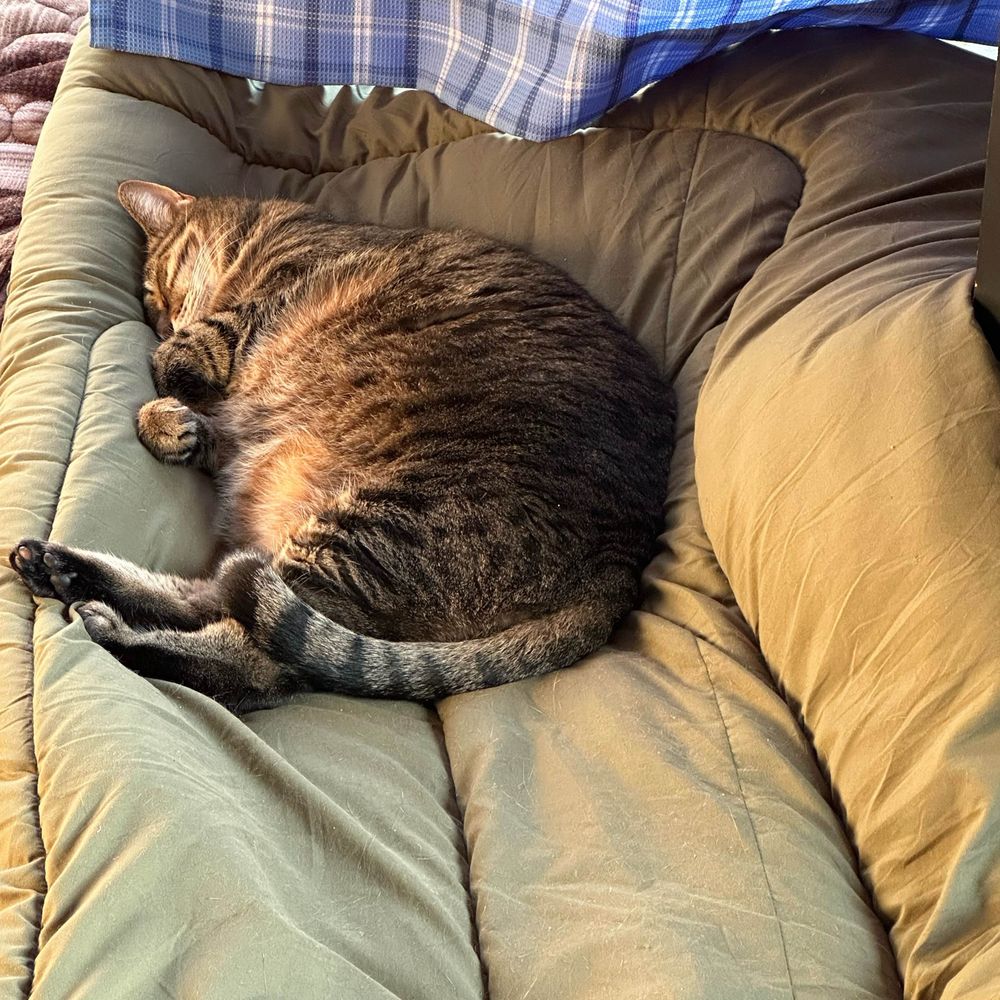 BB