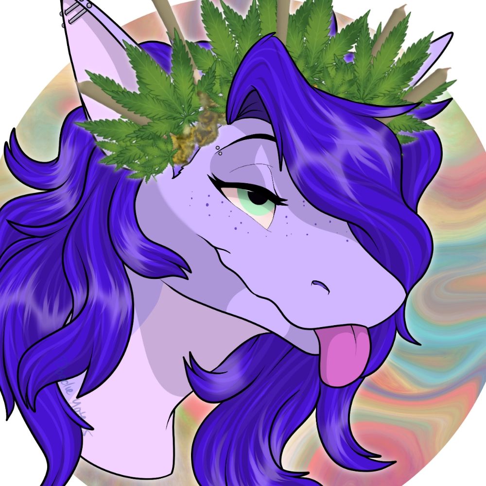 🏳️‍⚧️ Naya the Shark 🏳️‍⚧️