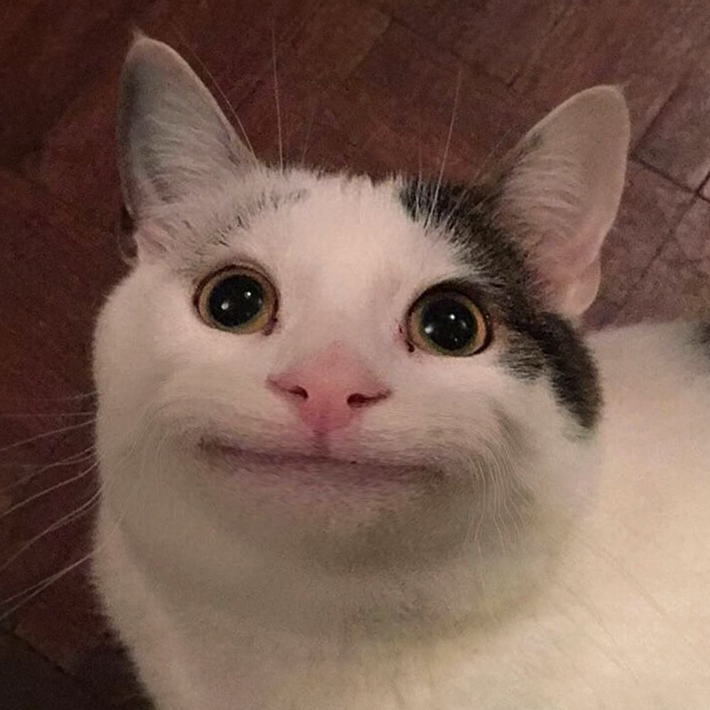 Vividinnit