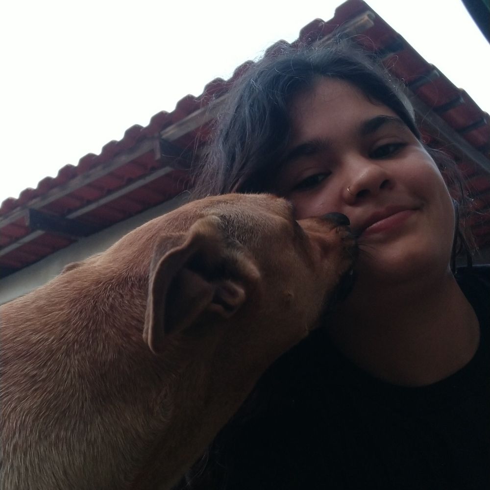 muie de fases 
