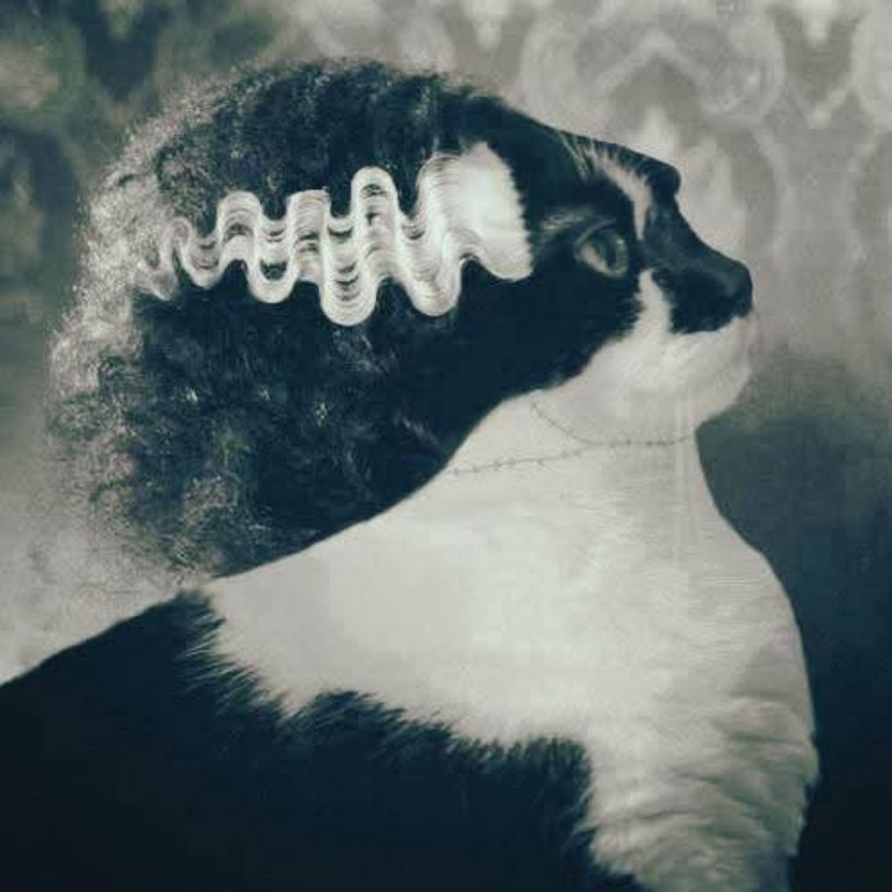 𝕮𝖆𝖓𝖉𝖎𝖈𝖊💀𝕭𝖗𝖔𝖜𝖓