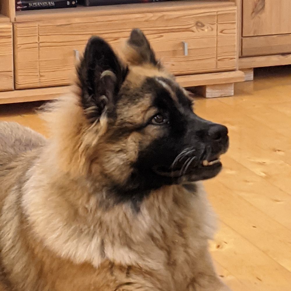 Fenrisúlfr