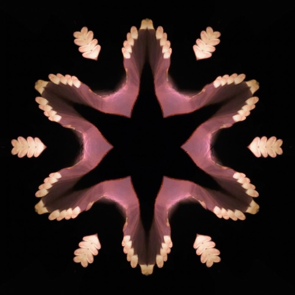 Morphingaz 