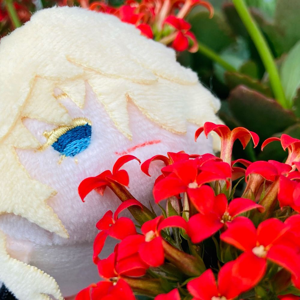 ここのつ