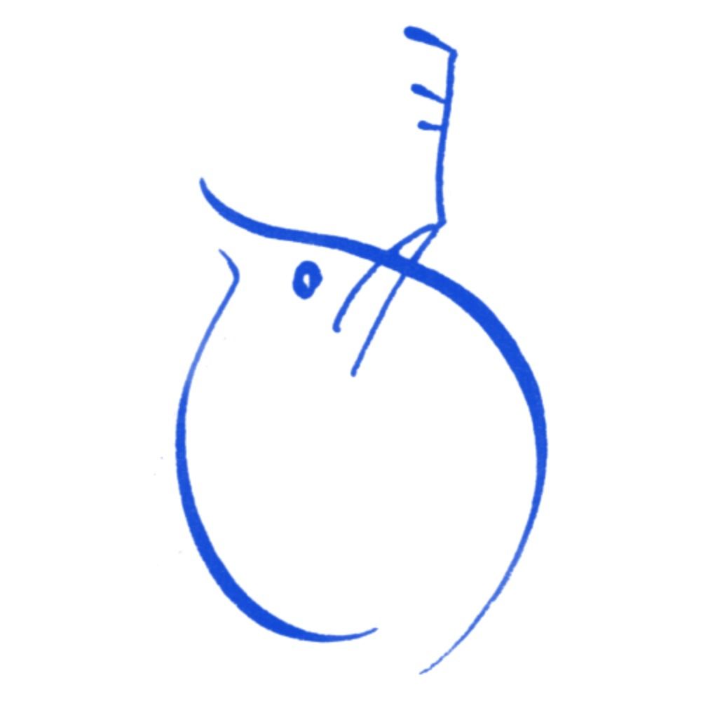 みじんこ